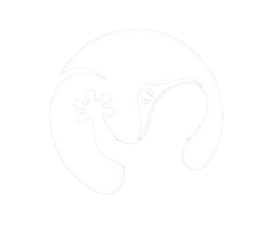 Tap White Logo