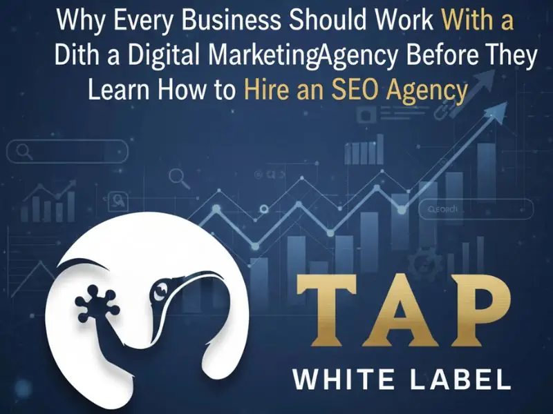 hire an SEO agency guide.