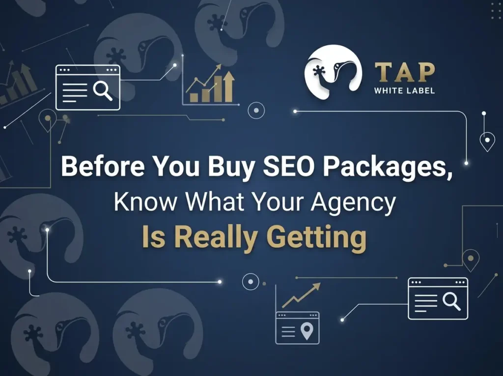 seo packages for agencies.